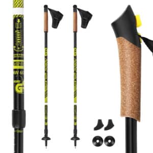 NW603 kije nordic walking NILS