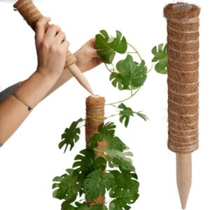 Podpora do roślin kokosowa 30cm