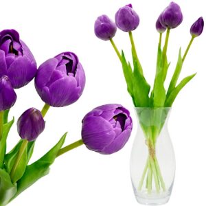 728767f84f1aa03edeaad5c0bc6a6312